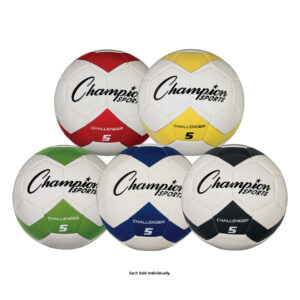 Challenger soccer ball