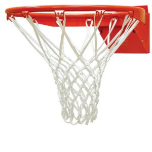 Competitor Scholastic Adjustable Breakaway Goal