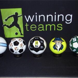 Winning Teams Custom Balls