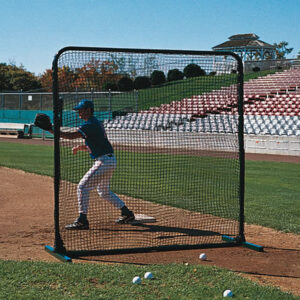 Professional Style Heavy Duty Fielder's Screen