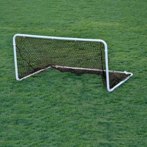Two-For Youth Goal