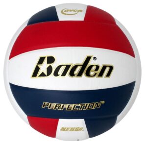 Perfection Leather Volleyball
